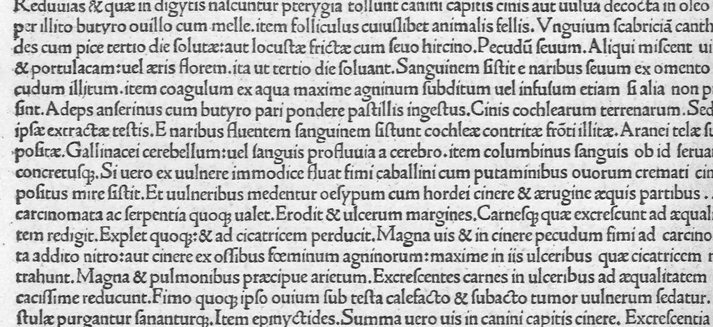An illustration from C. Plinii Secundi naturae historiarum libri XXXVII, leaf 442