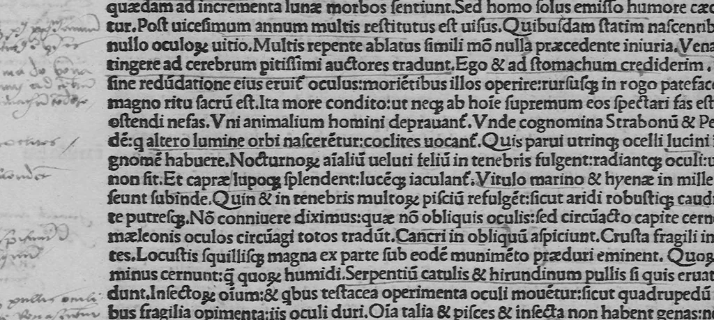 An illustration from C. Plinii Secundi historiae naturalis libri XXXVII, 1507, leaf 199