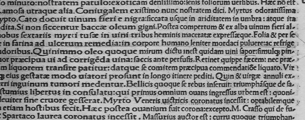 An illustration from C. Plinii Secundi historiae naturalis libri XXXVII, 1507, leaf 250