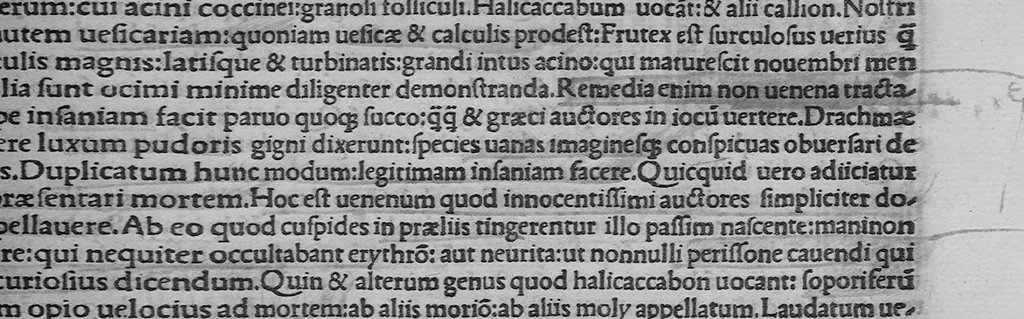An illustration from C. Plinii Secundi historiae naturalis libri XXXVII, 1507, leaf 364