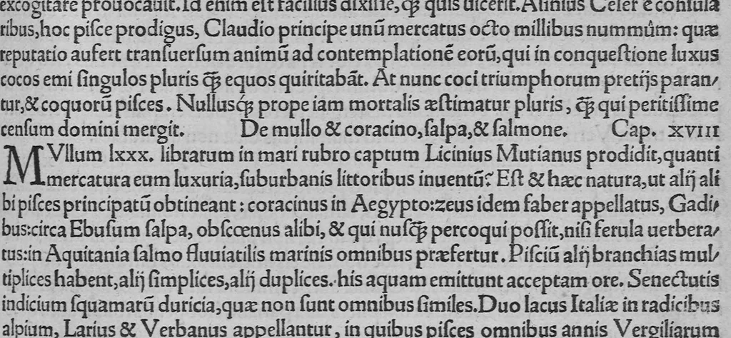 An illustration from C. Plinii Secundi historiae mundi libri XXXVII, 1539, leaf 192