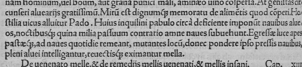 An illustration from C. Plinii Secundi historiae mundi libri XXXVII, 1539, leaf 427