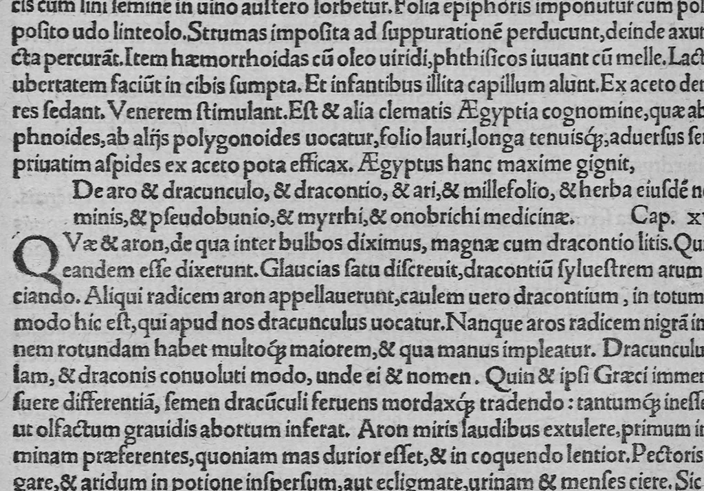 An illustration from C. Plinii Secundi historiae mundi libri XXXVII, 1539, leaf 483