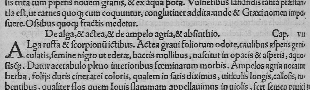 An illustration from C. Plinii Secundi historiae mundi libri XXXVII, 1539, leaf 523