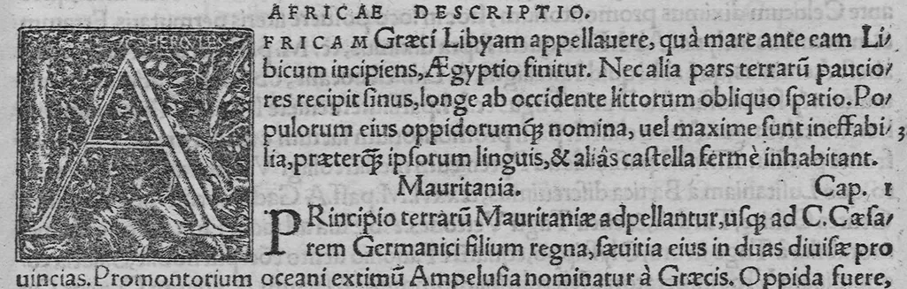 An illustration from C. Plinii Secundi historiae mundi libri XXXVII, 1539, leaf 99