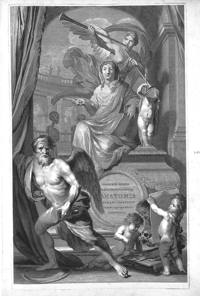 An illustration from Anatomia humani corporis, centum et quinque tabulis, per artificiosiss. G. de Lairesse ad vivum delineatis, demonstrata ..., 1685, leaf 0