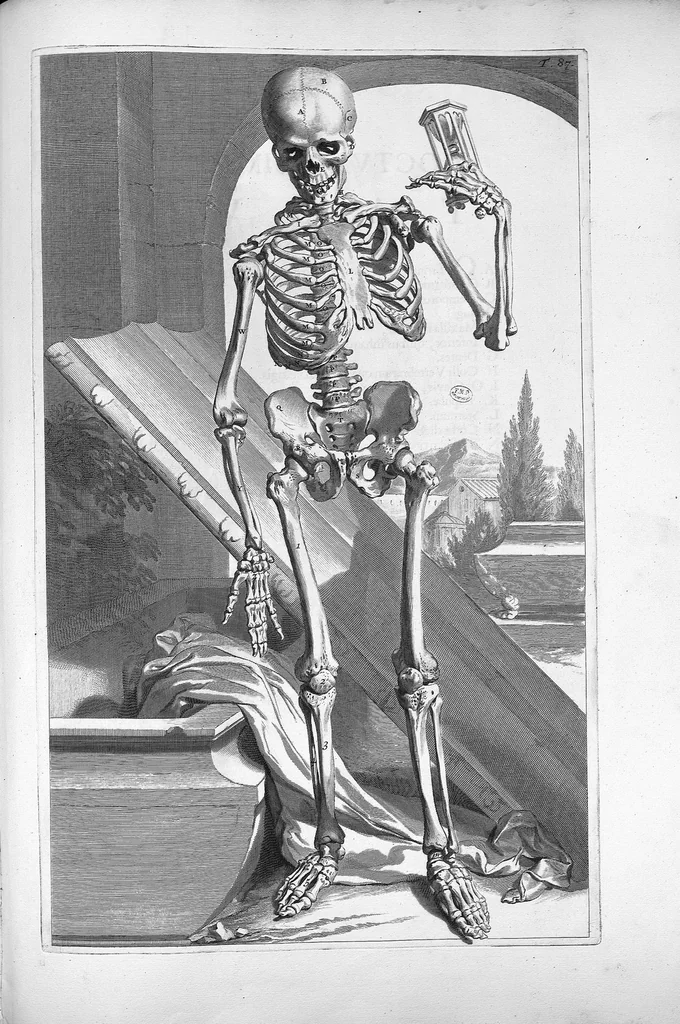 An illustration from Anatomia humani corporis, centum et quinque tabulis, per artificiosiss. G. de Lairesse ad vivum delineatis, demonstrata ..., 1685, leaf 200