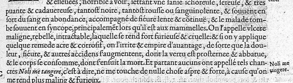 An illustration from Les Oeuvres d'Ambroise Paré,... divisées en vingt huict livres avec les figures et portraicts, tant de l'anatomie que des instruments de chirurgie, et de plusieurs monstres, reveuës et augmentées par l'autheur. Quatriesme Edition., 1585, leaf 311