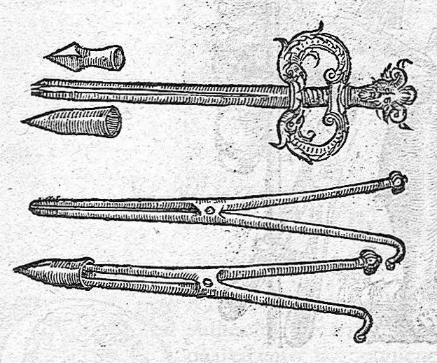 An illustration from Les Oeuvres d'Ambroise Paré,... divisées en vingt huict livres avec les figures et portraicts, tant de l'anatomie que des instruments de chirurgie, et de plusieurs monstres, reveuës et augmentées par l'autheur. Quatriesme Edition., 1585, leaf 481