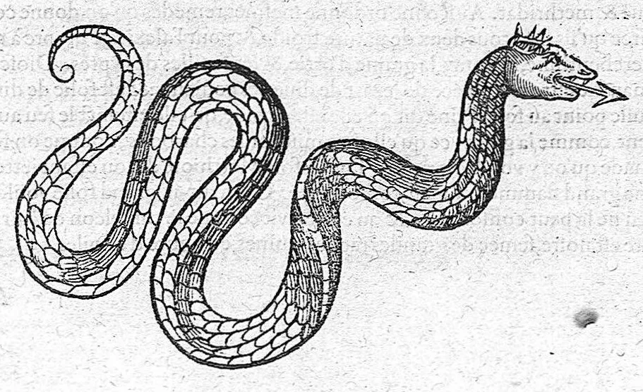 An illustration from Les Oeuvres d'Ambroise Paré,... divisées en vingt huict livres avec les figures et portraicts, tant de l'anatomie que des instruments de chirurgie, et de plusieurs monstres, reveuës et augmentées par l'autheur. Quatriesme Edition., 1585, leaf 809