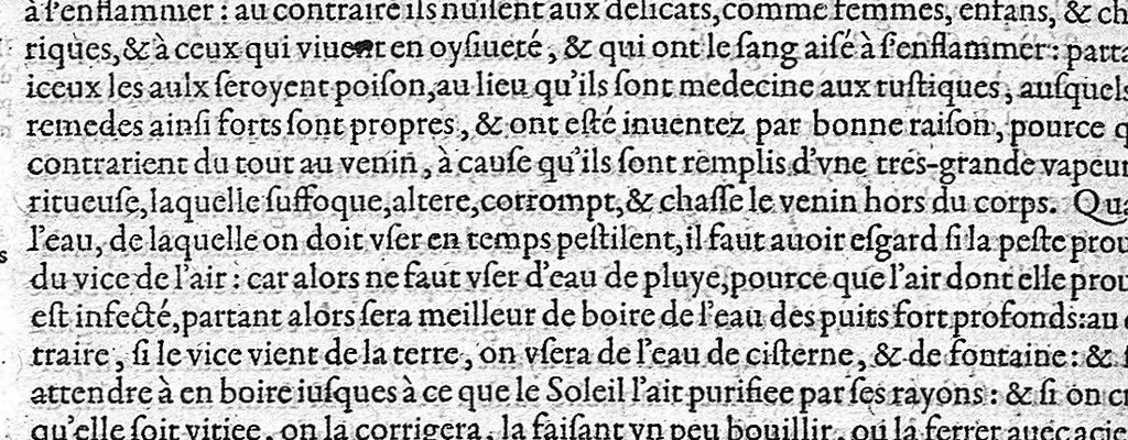 An illustration from Les Oeuvres d'Ambroise Paré,... divisées en vingt huict livres avec les figures et portraicts, tant de l'anatomie que des instruments de chirurgie, et de plusieurs monstres, reveuës et augmentées par l'autheur. Quatriesme Edition., 1585, leaf 868