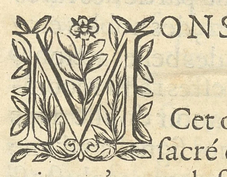 An illustration from La perspective curieuse ou magie artificielle des effets merveilleux de l'optique, la catoptique, la dioptique, 1638, leaf 10