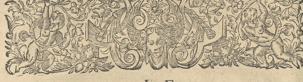 An illustration from La perspective curieuse ou magie artificielle des effets merveilleux de l'optique, la catoptique, la dioptique, 1638, leaf 101