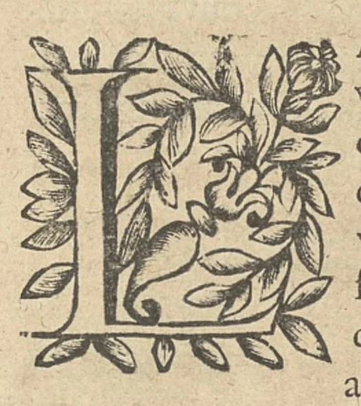 An illustration from La perspective curieuse ou magie artificielle des effets merveilleux de l'optique, la catoptique, la dioptique, 1638, leaf 101