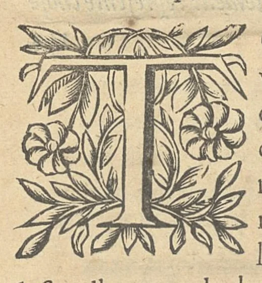 An illustration from La perspective curieuse ou magie artificielle des effets merveilleux de l'optique, la catoptique, la dioptique, 1638, leaf 21