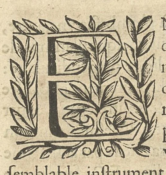 An illustration from La perspective curieuse ou magie artificielle des effets merveilleux de l'optique, la catoptique, la dioptique, 1638, leaf 28