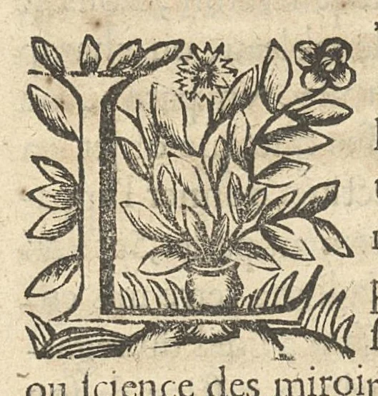 An illustration from La perspective curieuse ou magie artificielle des effets merveilleux de l'optique, la catoptique, la dioptique, 1638, leaf 38