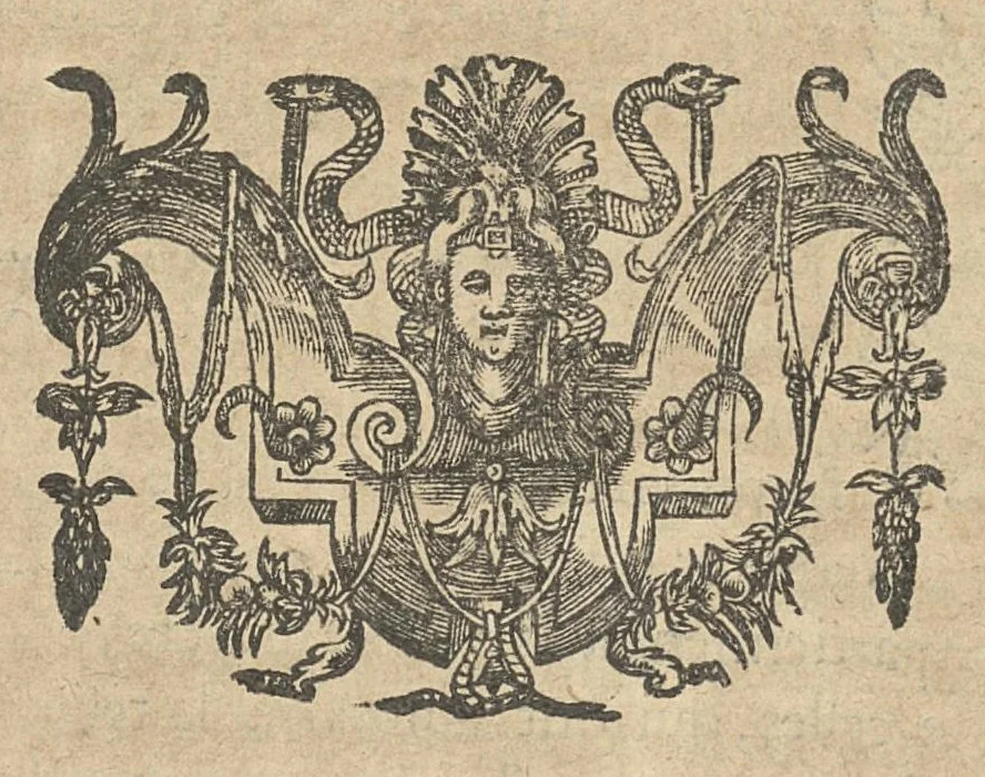 An illustration from La perspective curieuse ou magie artificielle des effets merveilleux de l'optique, la catoptique, la dioptique, 1638, leaf 76