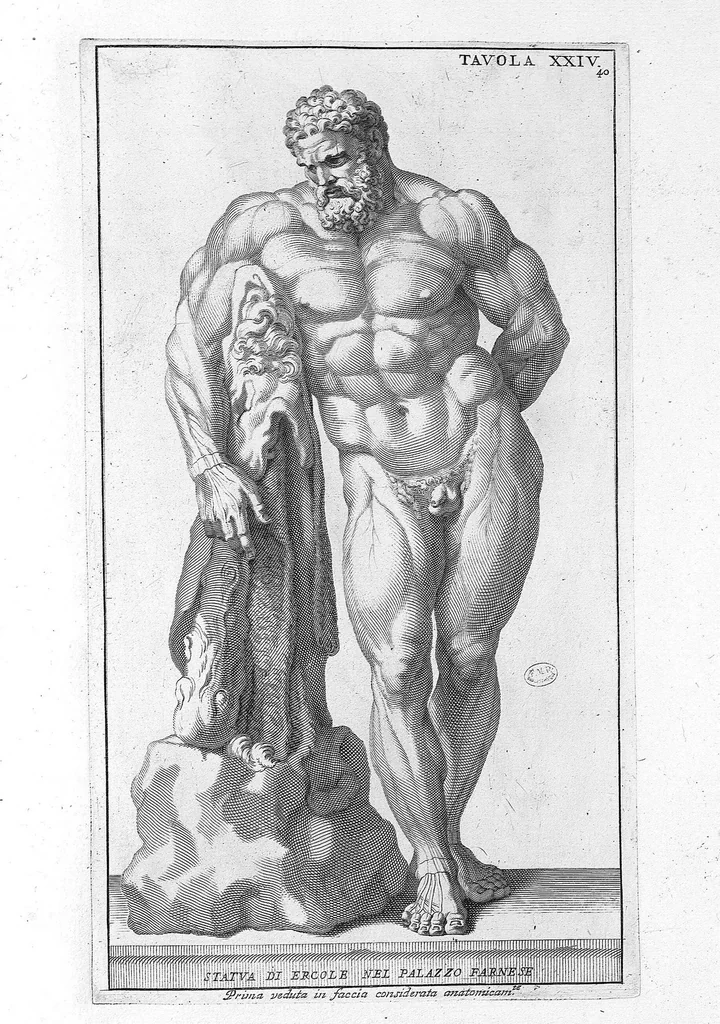 An illustration from Anatomia per uso et intelligenza del disegno ricercata non solo su gl'ossi, e muscoli del corpo humano : ma dimostrata ancora su le statue antiche più insigni di Roma : delineata in più tavole con tutte le figure in varie faccie, e vedute / per istudio della Regia Academia de Francia pittura e scultura sollo la direzzione di Carlo Errard gia direttore di essa in Roma ; preparata su'i cadaveri dal dottor Bernardino Genga ... ; con le spiegazioni et indice del sigr. canonico Gio. Maria Lancisi ..., 1691, leaf 39