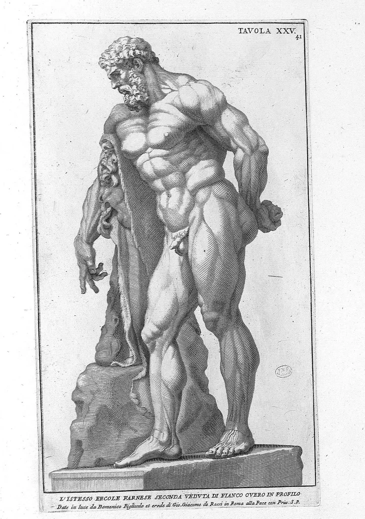 An illustration from Anatomia per uso et intelligenza del disegno ricercata non solo su gl'ossi, e muscoli del corpo humano : ma dimostrata ancora su le statue antiche più insigni di Roma : delineata in più tavole con tutte le figure in varie faccie, e vedute / per istudio della Regia Academia de Francia pittura e scultura sollo la direzzione di Carlo Errard gia direttore di essa in Roma ; preparata su'i cadaveri dal dottor Bernardino Genga ... ; con le spiegazioni et indice del sigr. canonico Gio. Maria Lancisi ..., 1691, leaf 40