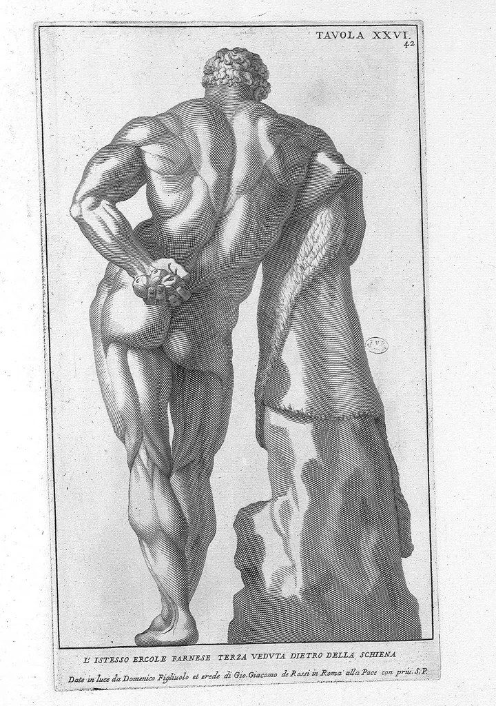 An illustration from Anatomia per uso et intelligenza del disegno ricercata non solo su gl'ossi, e muscoli del corpo humano : ma dimostrata ancora su le statue antiche più insigni di Roma : delineata in più tavole con tutte le figure in varie faccie, e vedute / per istudio della Regia Academia de Francia pittura e scultura sollo la direzzione di Carlo Errard gia direttore di essa in Roma ; preparata su'i cadaveri dal dottor Bernardino Genga ... ; con le spiegazioni et indice del sigr. canonico Gio. Maria Lancisi ..., 1691, leaf 41