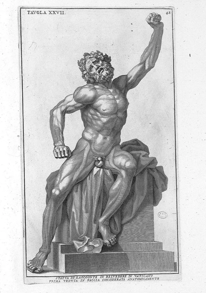 An illustration from Anatomia per uso et intelligenza del disegno ricercata non solo su gl'ossi, e muscoli del corpo humano : ma dimostrata ancora su le statue antiche più insigni di Roma : delineata in più tavole con tutte le figure in varie faccie, e vedute / per istudio della Regia Academia de Francia pittura e scultura sollo la direzzione di Carlo Errard gia direttore di essa in Roma ; preparata su'i cadaveri dal dottor Bernardino Genga ... ; con le spiegazioni et indice del sigr. canonico Gio. Maria Lancisi ..., 1691, leaf 42