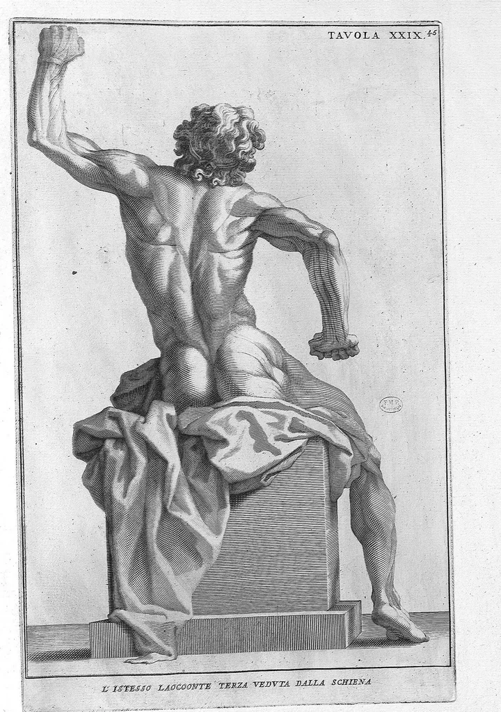 An illustration from Anatomia per uso et intelligenza del disegno ricercata non solo su gl'ossi, e muscoli del corpo humano : ma dimostrata ancora su le statue antiche più insigni di Roma : delineata in più tavole con tutte le figure in varie faccie, e vedute / per istudio della Regia Academia de Francia pittura e scultura sollo la direzzione di Carlo Errard gia direttore di essa in Roma ; preparata su'i cadaveri dal dottor Bernardino Genga ... ; con le spiegazioni et indice del sigr. canonico Gio. Maria Lancisi ..., 1691, leaf 44