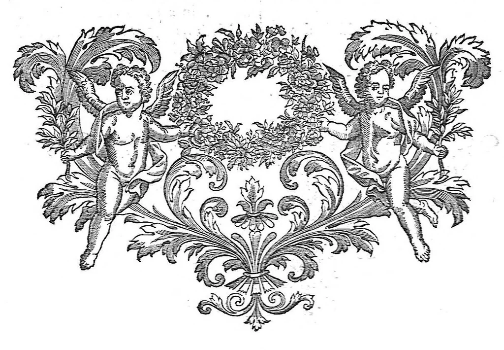 An illustration from The anatomy of human bodies,... containing many new anatomical discoveries and chirurgical observations, 1698, leaf 166