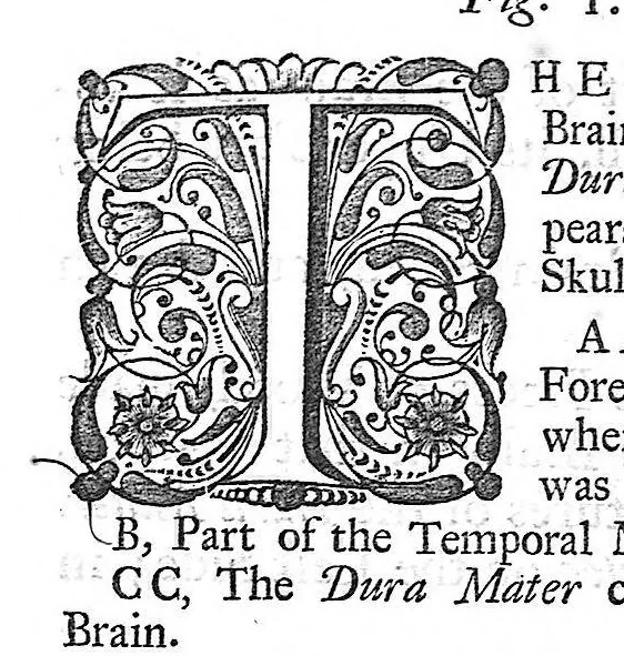An illustration from The anatomy of human bodies,... containing many new anatomical discoveries and chirurgical observations, 1698, leaf 30