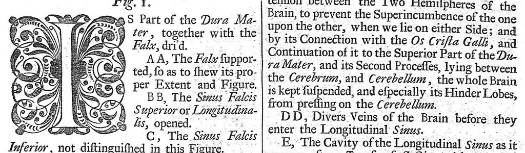 An illustration from The anatomy of human bodies,... containing many new anatomical discoveries and chirurgical observations, 1698, leaf 34