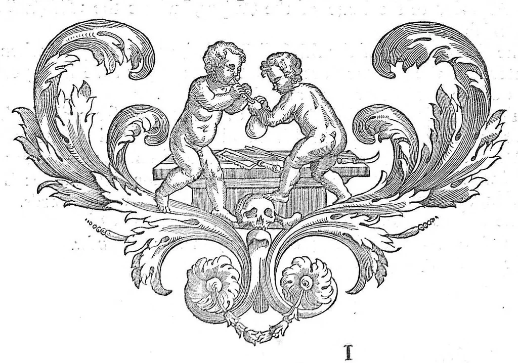 An illustration from The anatomy of human bodies,... containing many new anatomical discoveries and chirurgical observations, 1698, leaf 50