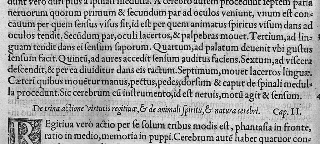 An illustration from Claudii Galeni Pergameni opuscula aliquot quorum sequentis paginae index te admonebit, 1546, leaf 247
