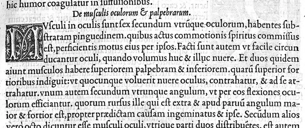 An illustration from Claudii Galeni Pergameni opuscula aliquot quorum sequentis paginae index te admonebit, 1546, leaf 278