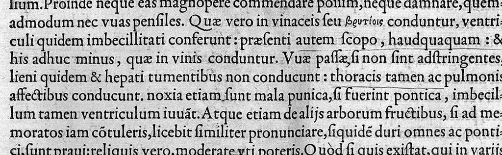 An illustration from Claudii Galeni Pergameni opuscula aliquot quorum sequentis paginae index te admonebit, 1546, leaf 37