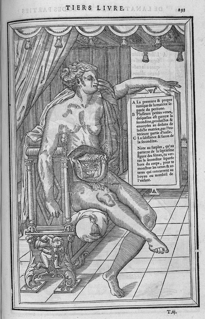 An illustration from La dissection des parties du corps humain divisee en trois livres, faictz par Charles Estienne, docteur en Medecine : avec les figures et declaration des incisions, composees par Estienne de la Riviere Chirurgien,, 1546, leaf 308
