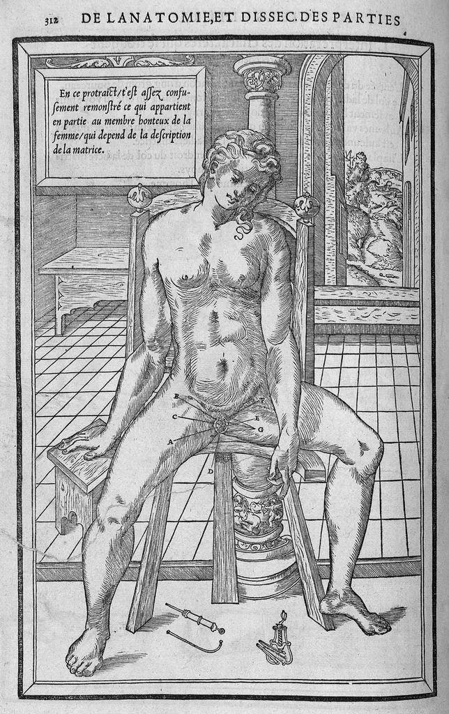 An illustration from La dissection des parties du corps humain divisee en trois livres, faictz par Charles Estienne, docteur en Medecine : avec les figures et declaration des incisions, composees par Estienne de la Riviere Chirurgien,, 1546, leaf 327