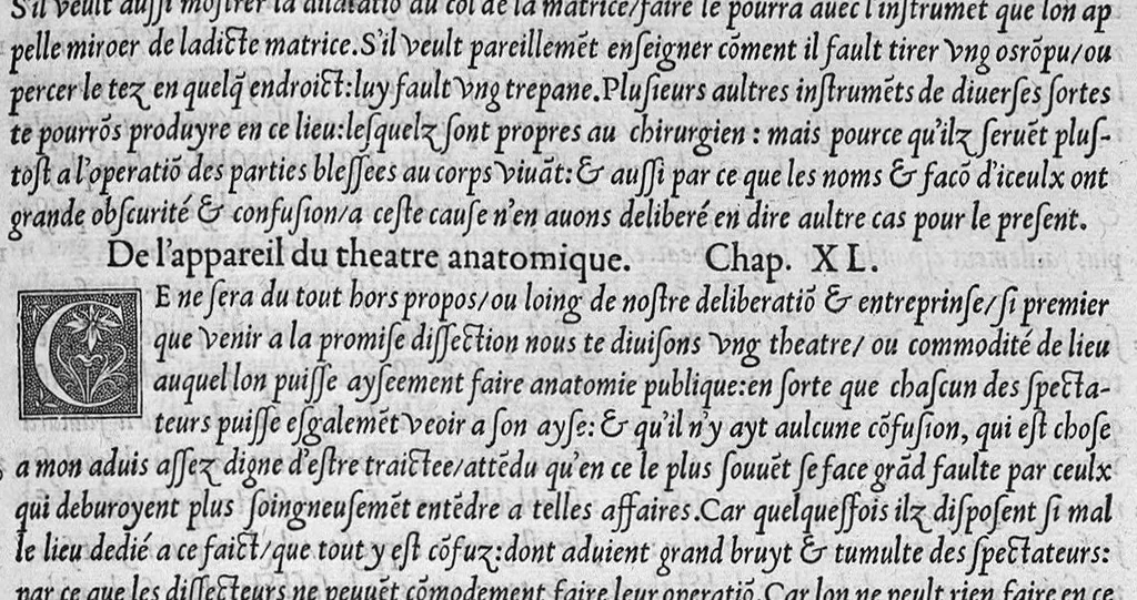 An illustration from La dissection des parties du corps humain divisee en trois livres, faictz par Charles Estienne, docteur en Medecine : avec les figures et declaration des incisions, composees par Estienne de la Riviere Chirurgien,, 1546, leaf 388