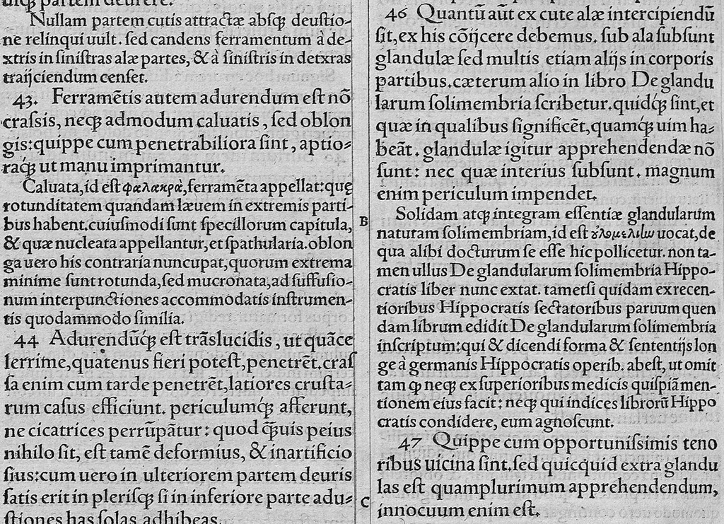 An illustration from Galeni Pergameni ... opera quae ad nos extant omnia / vol. 6- tomus sextus classem septimam habet, 1549, leaf 483