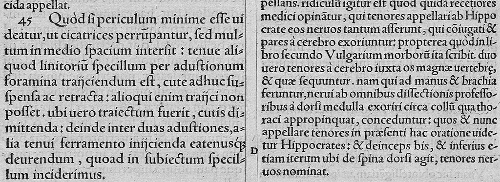 An illustration from Galeni Pergameni ... opera quae ad nos extant omnia / vol. 6- tomus sextus classem septimam habet, 1549, leaf 483