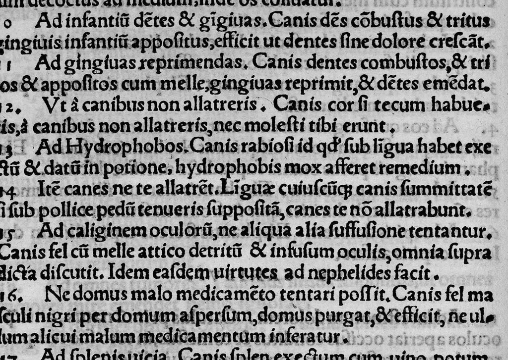 An illustration from Sexti Placiti papyriensis de Medicamentis ex animalibus Libellus, 1538, leaf 13