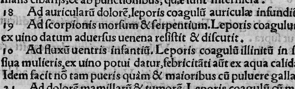 An illustration from Sexti Placiti papyriensis de Medicamentis ex animalibus Libellus, 1538, leaf 6