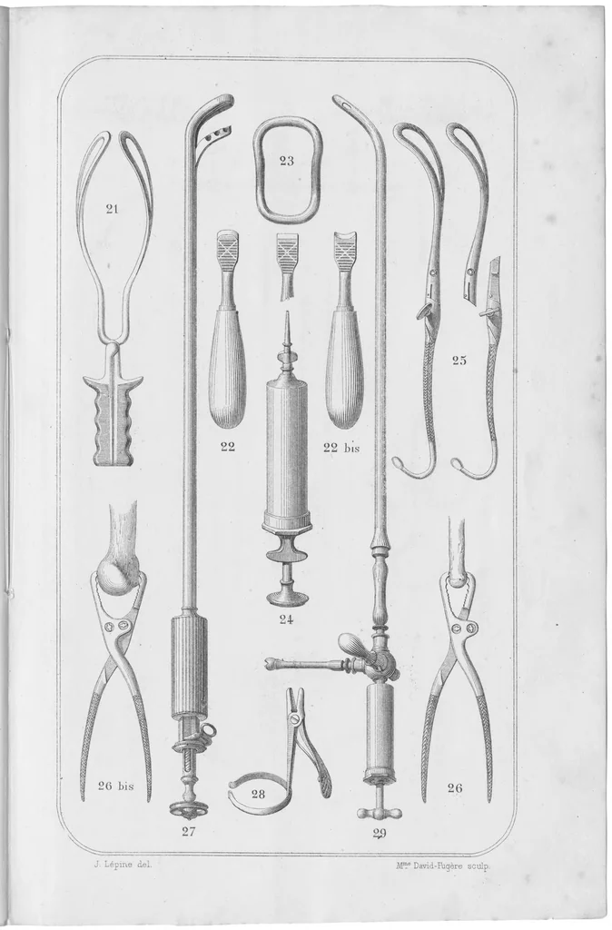 An illustration from Sexti Placiti papyriensis de Medicamentis ex animalibus Libellus, 1538, leaf 78