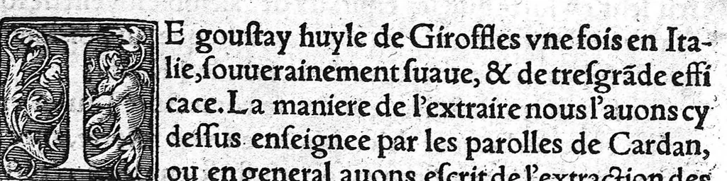 An illustration from Tresor de Evonime Philiatre des Remedes secrets. Livre Physic, Medical, Alchymic, et Dispensatif de toutes substantiales liqueurs, et appareil de vins de diverses saveurs, necessaire à toutes gens. Principallement à Medecins, Chirurgiens, et Apothicaires, 1555, leaf 215