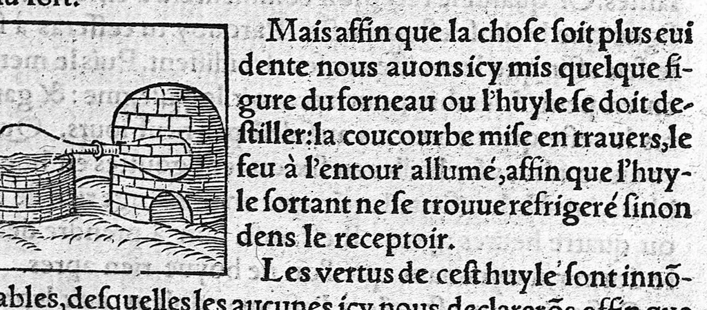 An illustration from Tresor de Evonime Philiatre des Remedes secrets. Livre Physic, Medical, Alchymic, et Dispensatif de toutes substantiales liqueurs, et appareil de vins de diverses saveurs, necessaire à toutes gens. Principallement à Medecins, Chirurgiens, et Apothicaires, 1555, leaf 267