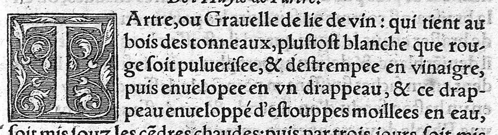 An illustration from Tresor de Evonime Philiatre des Remedes secrets. Livre Physic, Medical, Alchymic, et Dispensatif de toutes substantiales liqueurs, et appareil de vins de diverses saveurs, necessaire à toutes gens. Principallement à Medecins, Chirurgiens, et Apothicaires, 1555, leaf 300