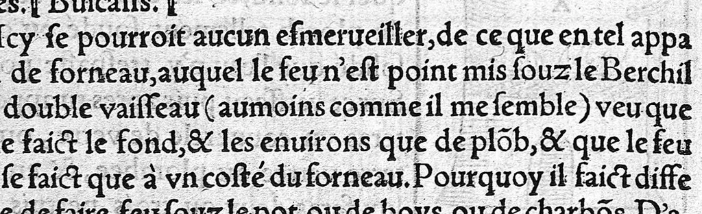 An illustration from Tresor de Evonime Philiatre des Remedes secrets. Livre Physic, Medical, Alchymic, et Dispensatif de toutes substantiales liqueurs, et appareil de vins de diverses saveurs, necessaire à toutes gens. Principallement à Medecins, Chirurgiens, et Apothicaires, 1555, leaf 73