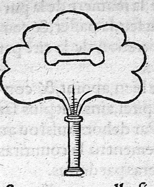 An illustration from Tresor de Evonime Philiatre des Remedes secrets. Livre Physic, Medical, Alchymic, et Dispensatif de toutes substantiales liqueurs, et appareil de vins de diverses saveurs, necessaire à toutes gens. Principallement à Medecins, Chirurgiens, et Apothicaires, 1555, leaf 92