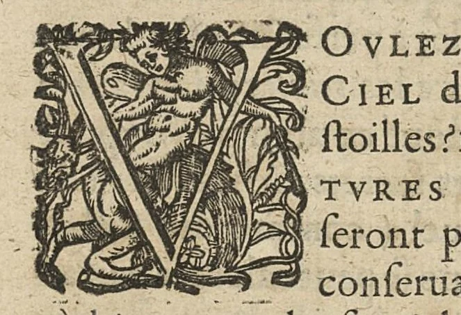 An illustration from Traité de l'eau de vie ou anatomie théorique et pratique du vin, 1646, leaf 147