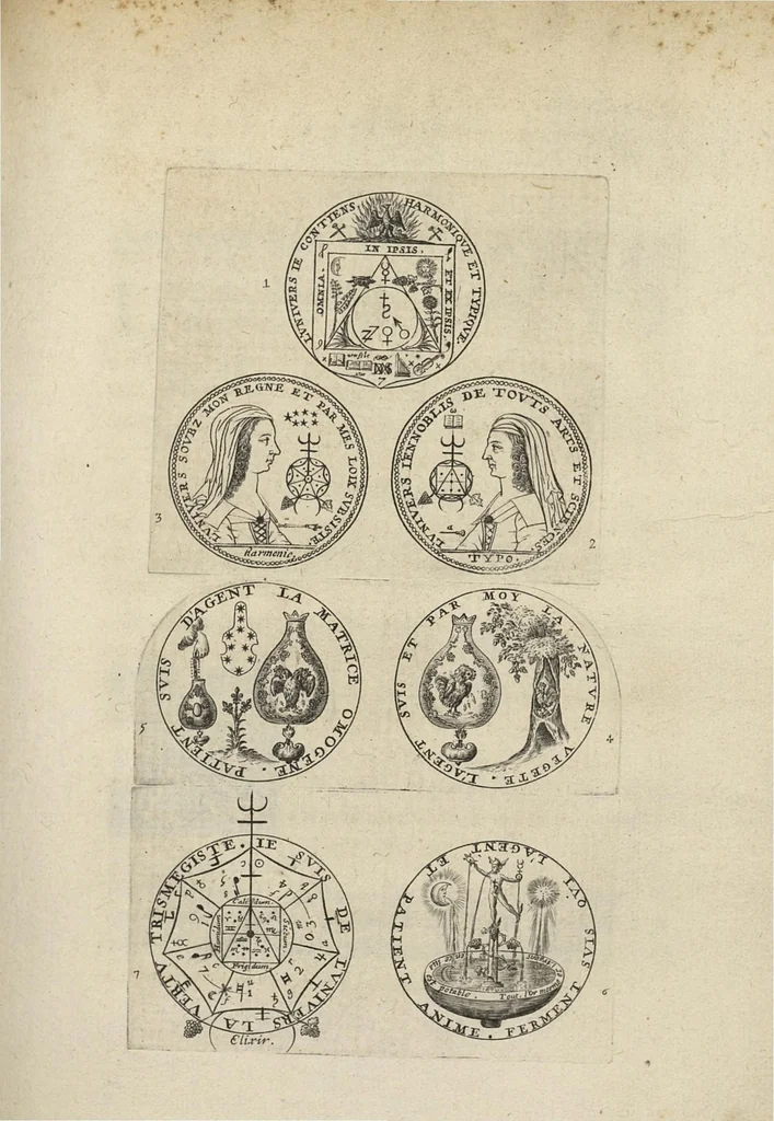 An illustration from Traité de l'eau de vie ou anatomie théorique et pratique du vin, 1646, leaf 164