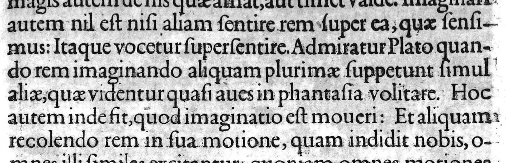 An illustration from De sensu rerum et magia libri quatuor, 1620, leaf 144